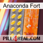 Anaconda Strong new05
